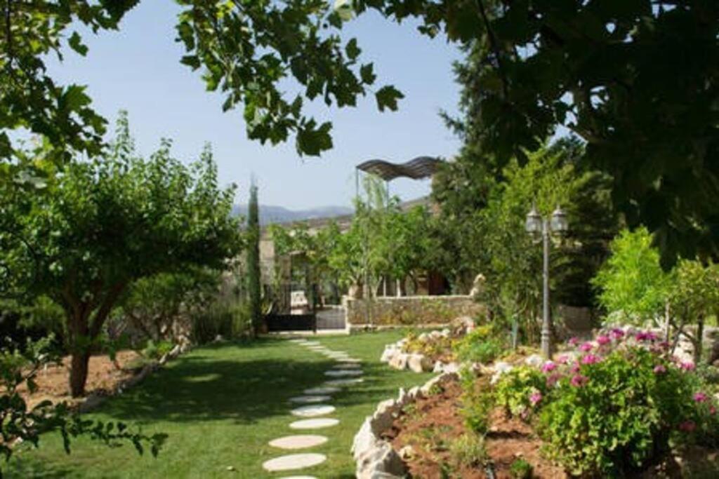 Olive House Traditional Villa With Pool 사이티아 외부 사진